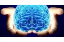 Beyinde Leke Belirtileri ve Tedavisi